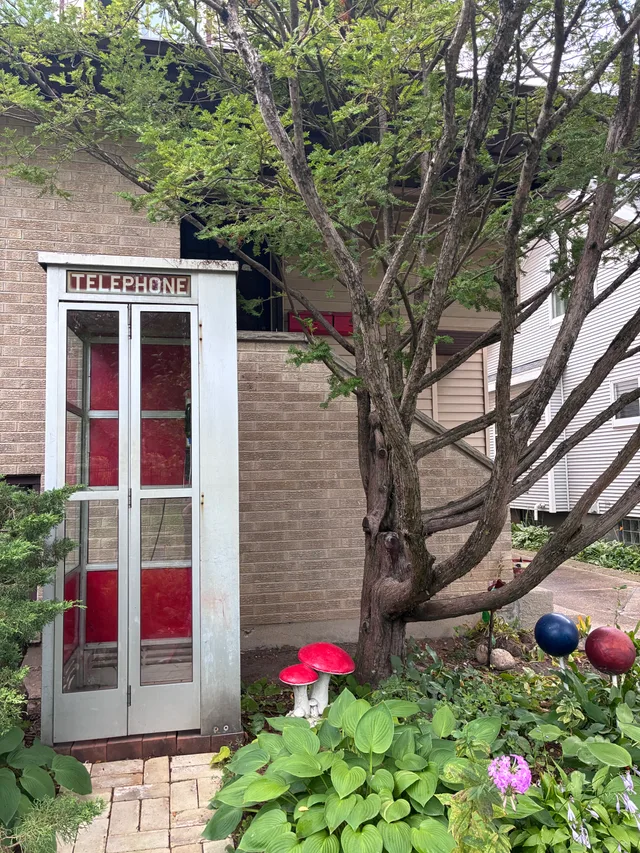 The silver booth beneath a garden tree at 209 Corry Street
